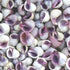 Purple Violet Sea Snail Neritina Shells - 1 Kg Bulk Pack